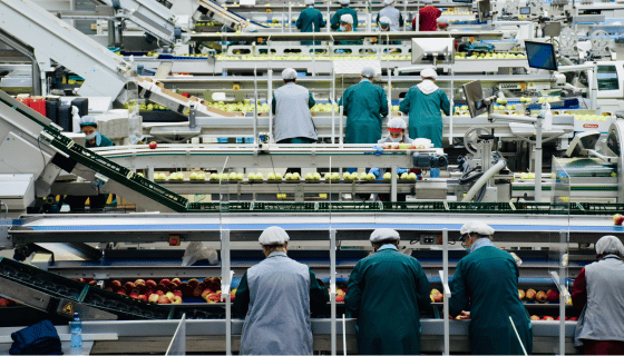 compressed air being used in food industry